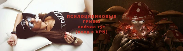 ПСИЛОЦИБИНОВЫЕ ГРИБЫ Гусиноозёрск
