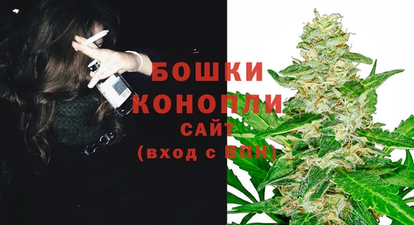ПСИЛОЦИБИНОВЫЕ ГРИБЫ Гусиноозёрск