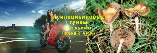 метадон Гусев