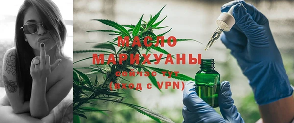 метадон Гусев