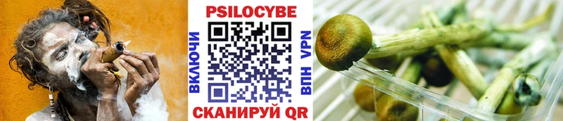 Купить где  Суровикино  Галлюциногенные грибы мицелий 